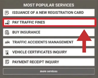 EVG Fine check Online