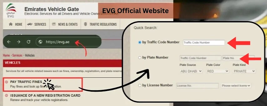 evg Traffic Fine check by Plate Number